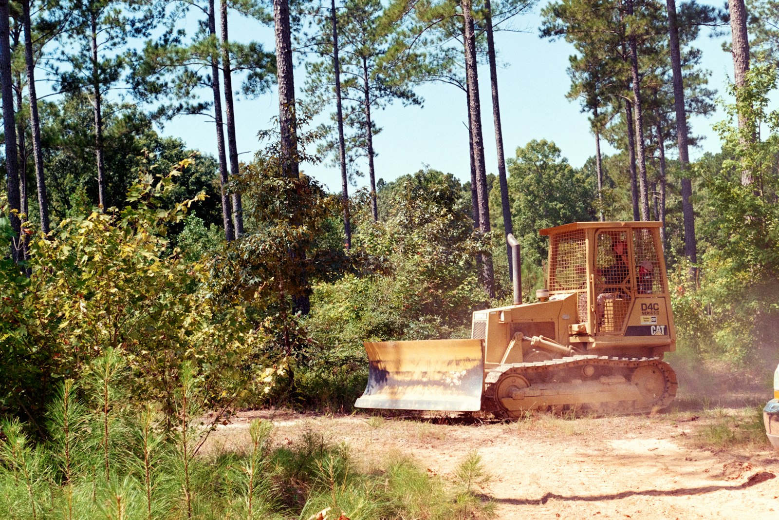 A crawler dozer with its blade down working a brush line at the edge of a stand of pines, dust hanging in the air behind the tracks.